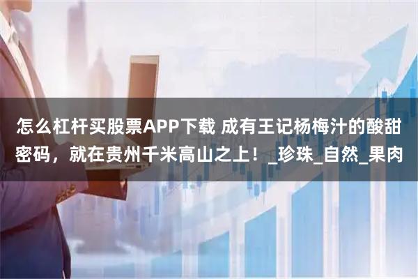 怎么杠杆买股票APP下载 成有王记杨梅汁的酸甜密码，就在贵州千米高山之上！_珍珠_自然_果肉