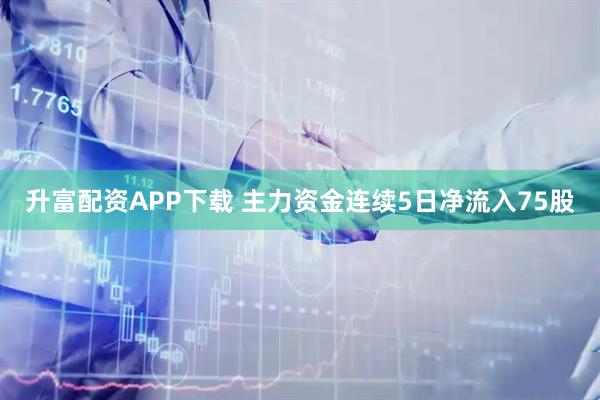 升富配资APP下载 主力资金连续5日净流入75股