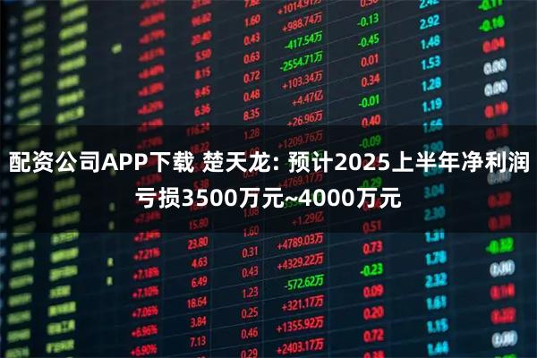配资公司APP下载 楚天龙: 预计2025上半年净利润亏损3500万元~4000万元