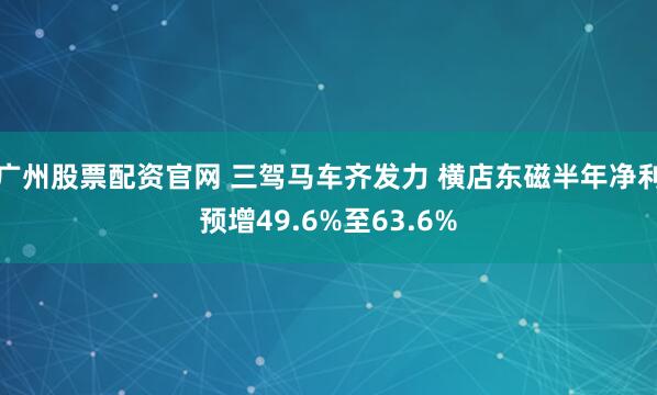 广州股票配资官网 三驾马车齐发力 横店东磁半年净利预增49.6%至63.6%