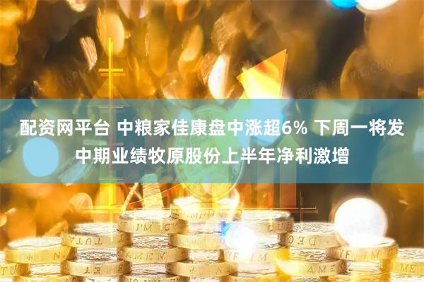 配资网平台 中粮家佳康盘中涨超6% 下周一将发中期业绩牧原股份上半年净利激增